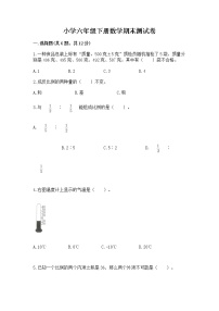 小学六年级下册数学期末测试卷（中心小学）