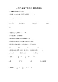 小学六年级下册数学 期末测试卷及参考答案【名师推荐】