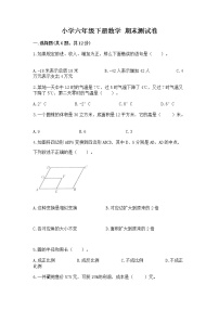 小学六年级下册数学 期末测试卷及完整答案（必刷）