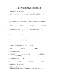 小学六年级下册数学 期末测试卷及完整答案（精品）