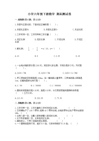 小学六年级下册数学 期末测试卷精品（典型题）