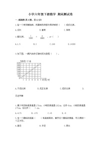 小学六年级下册数学 期末测试卷精品（精选题）