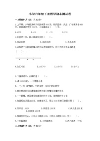 小学六年级下册数学期末测试卷附参考答案（名师推荐）