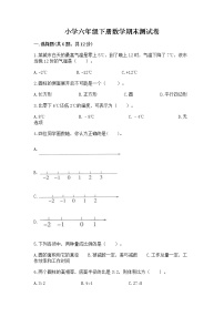 小学六年级下册数学期末测试卷（原创题）