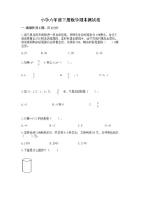 小学六年级下册数学期末测试卷附参考答案【能力提升】