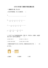 小学六年级下册数学期末测试卷带答案（基础题）