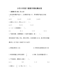 小学六年级下册数学期末测试卷附答案（黄金题型）