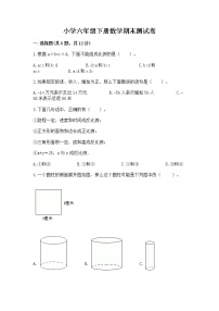 小学六年级下册数学期末测试卷附参考答案（轻巧夺冠）