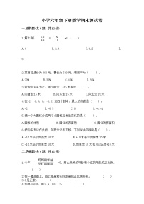 小学六年级下册数学期末测试卷附完整答案【精选题】