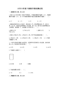 小学六年级下册数学期末测试卷含完整答案（历年真题）