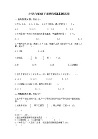 小学六年级下册数学期末测试卷含完整答案【夺冠系列】