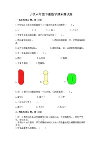 小学六年级下册数学期末测试卷汇编