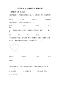 小学六年级下册数学期末测试卷含完整答案（易错题）