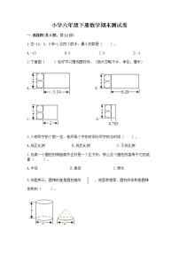 小学六年级下册数学期末测试卷含完整答案【典优】