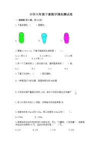 小学六年级下册数学期末测试卷标准卷