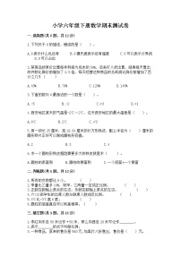 小学六年级下册数学期末测试卷附参考答案（综合题）