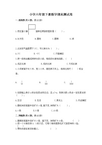 小学六年级下册数学期末测试卷附答案（突破训练）