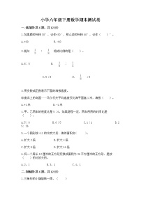 小学六年级下册数学期末测试卷附完整答案【夺冠系列】