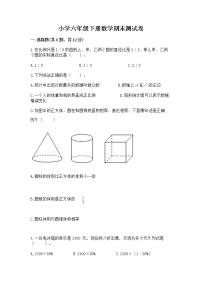 小学六年级下册数学期末测试卷附答案【满分必刷】