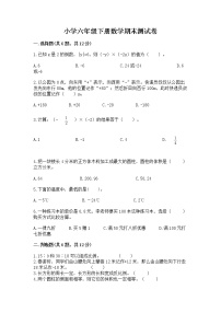 小学六年级下册数学期末测试卷附答案【培优a卷】