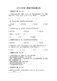 小学六年级下册数学期末测试卷附答案（精练）