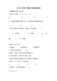 小学六年级下册数学期末测试卷附完整答案【必刷】