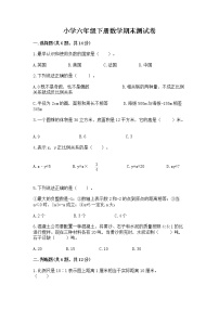 小学六年级下册数学期末测试卷附完整答案（典优）