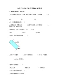 小学六年级下册数学期末测试卷附答案（培优a卷）