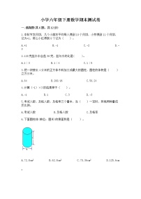 小学六年级下册数学期末测试卷含完整答案【全国通用】