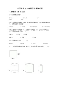 小学六年级下册数学期末测试卷含完整答案【名师系列】