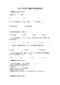 小学六年级下册数学期末测试卷及参考答案【典型题】