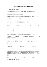 小学六年级下册数学期末测试卷及参考答案一套