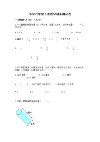 小学六年级下册数学期末测试卷加解析答案