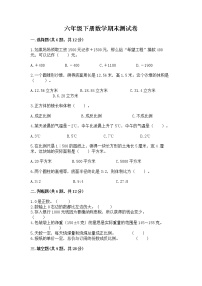 六年级下册数学期末测试卷含答案【巩固】