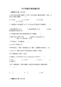 小升初数学期末测试卷（典优）word版