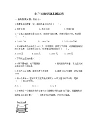 小升初数学期末测试卷【名师系列】