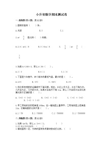 小升初数学期末测试卷附参考答案（完整版）