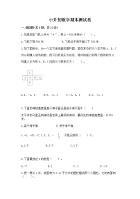 小升初数学期末测试卷附参考答案（实用）