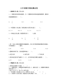 小升初数学期末测试卷带答案（综合题）