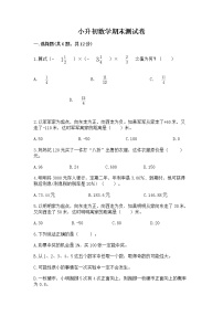 小升初数学期末测试卷带答案（培优）