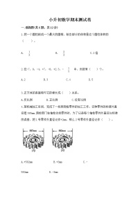 小升初数学期末测试卷带答案（突破训练）