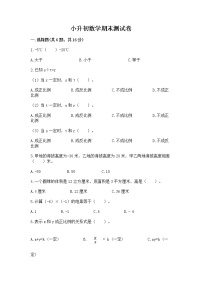 小升初数学期末测试卷带答案（满分必刷）