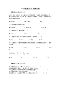 小升初数学期末测试卷带答案（新）