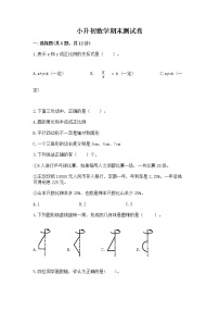 小升初数学期末测试卷附参考答案（名师推荐）