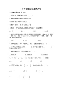 小升初数学期末测试卷（考试直接用）word版