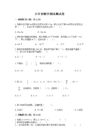 小升初数学期末测试卷【word】