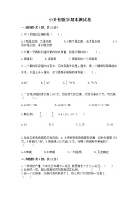 小升初数学期末测试卷【夺冠】