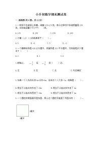 小升初数学期末测试卷（能力提升）word版