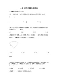 小升初数学期末测试卷【考试直接用】