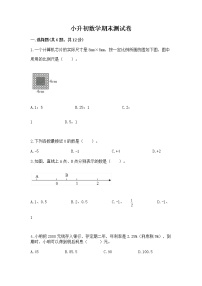 小升初数学期末测试卷【基础题】